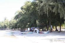 Из Сибири в "Вечное лето"