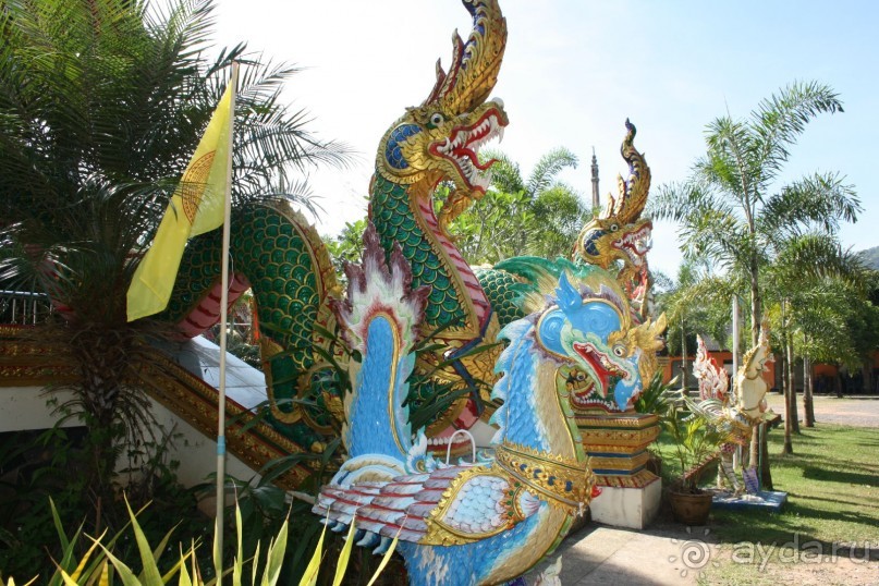 Из Сибири в "Вечное лето"