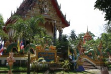 Из Сибири в "Вечное лето"