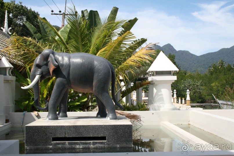 Из Сибири в "Вечное лето"