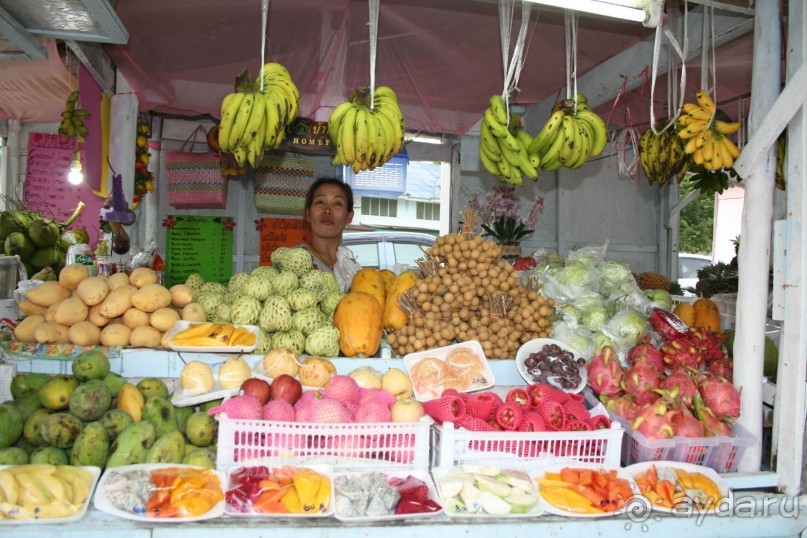 Из Сибири в "Вечное лето"