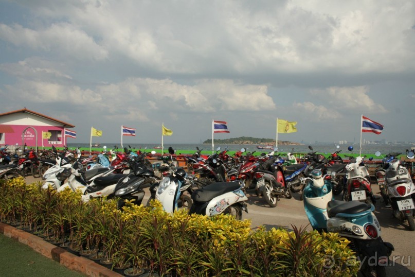 Из Сибири в "Вечное лето"