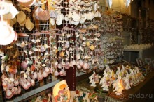 Из Сибири в "Вечное лето"