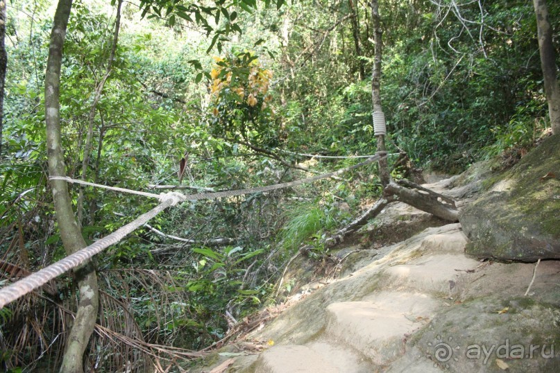 Из Сибири в "Вечное лето"