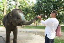 Из Сибири в "Вечное лето"