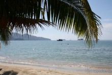 Из Сибири в "Вечное лето"