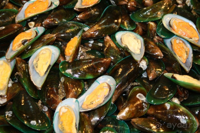 Из Сибири в "Вечное лето"