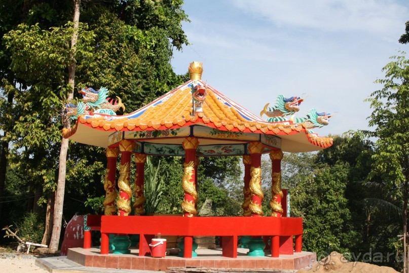 Из Сибири в "Вечное лето"