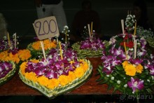 Из Сибири в "Вечное лето"