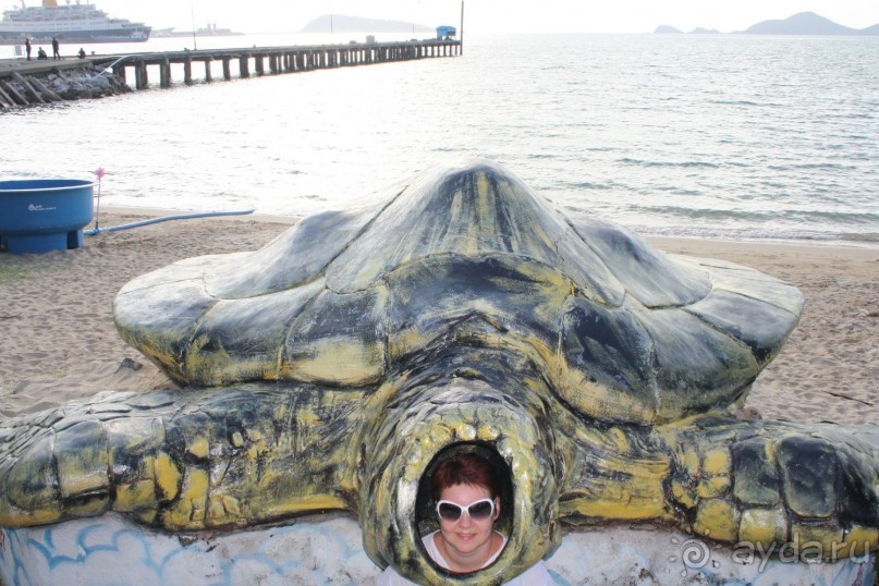 Из Сибири в "Вечное лето"