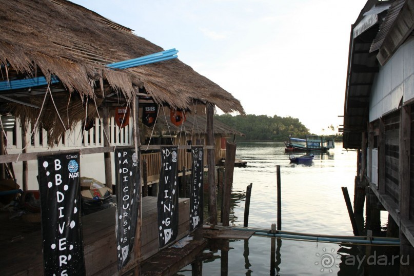 Из Сибири в "Вечное лето"