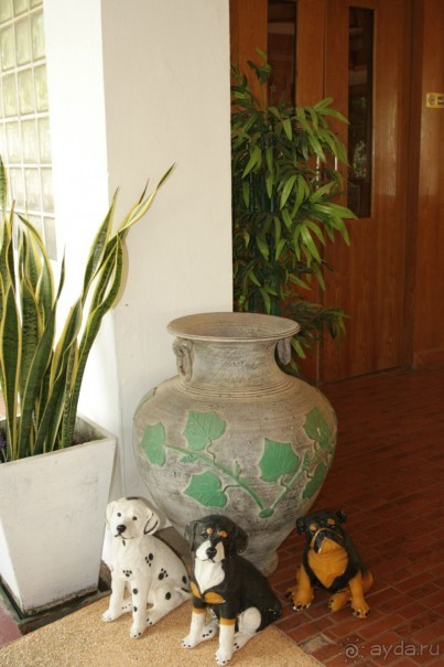 Из Сибири в "Вечное лето"