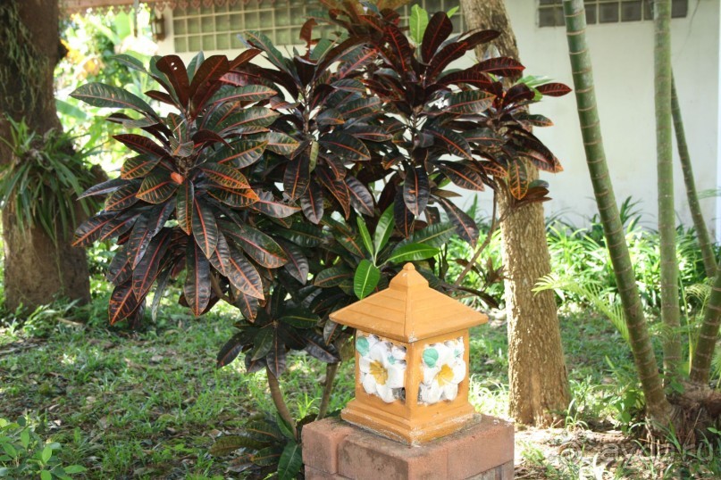 Из Сибири в "Вечное лето"