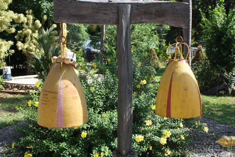 Из Сибири в "Вечное лето"