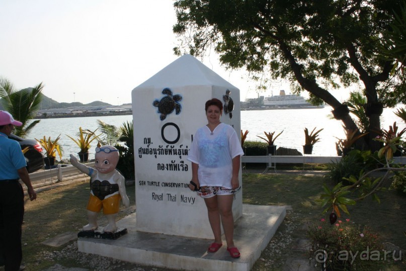 Из Сибири в "Вечное лето"