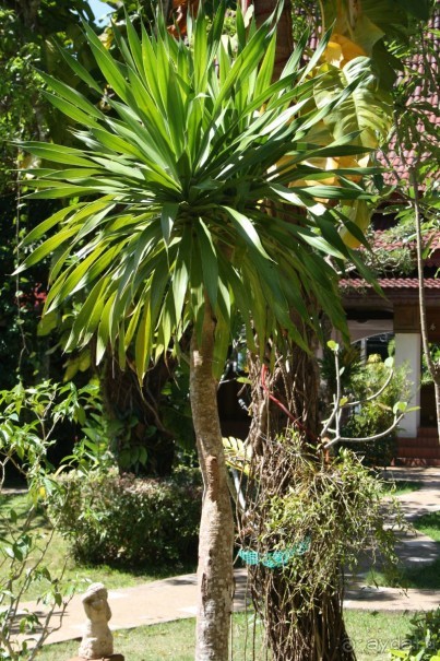 Из Сибири в "Вечное лето"