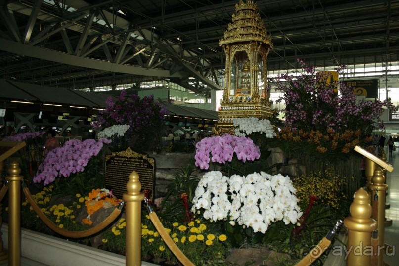 Из Сибири в "Вечное лето"