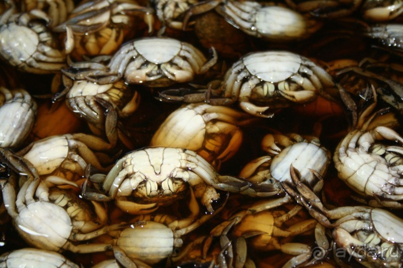 Из Сибири в "Вечное лето"