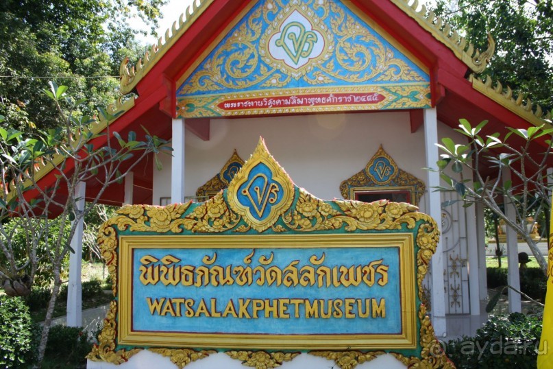 Из Сибири в "Вечное лето"