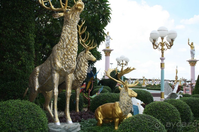 Из Сибири в "Вечное лето"