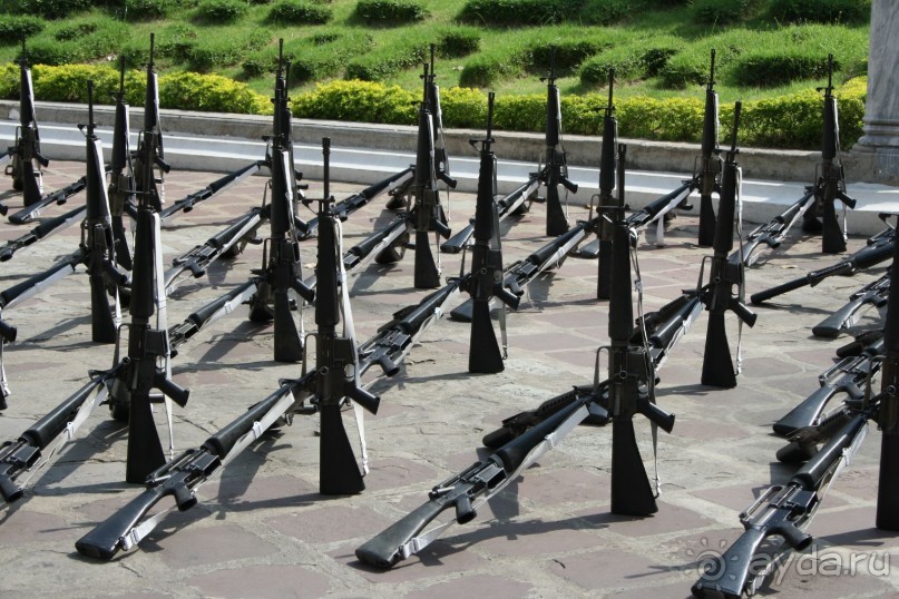 Из Сибири в "Вечное лето"