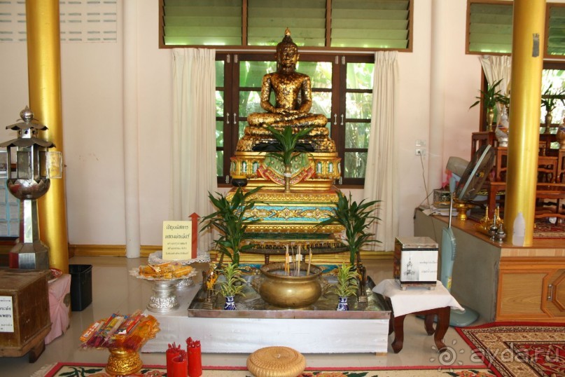 Из Сибири в "Вечное лето"