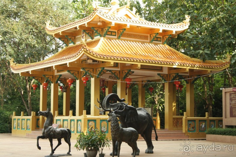 Из Сибири в "Вечное лето"