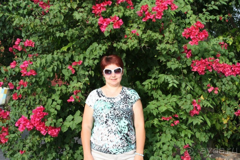 Из Сибири в "Вечное лето"