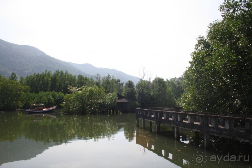 Из Сибири в "Вечное лето"