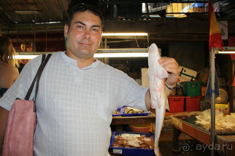 Из Сибири в "Вечное лето"