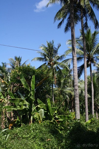 Из Сибири в "Вечное лето"