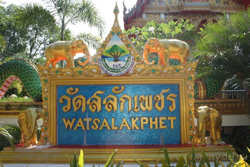 Из Сибири в "Вечное лето"