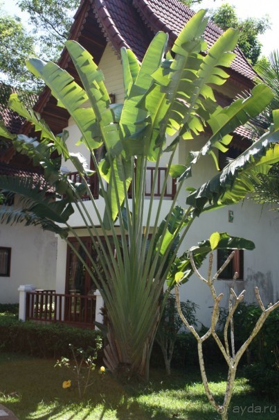 Из Сибири в "Вечное лето"