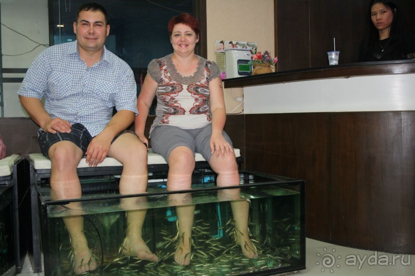 Из Сибири в "Вечное лето"