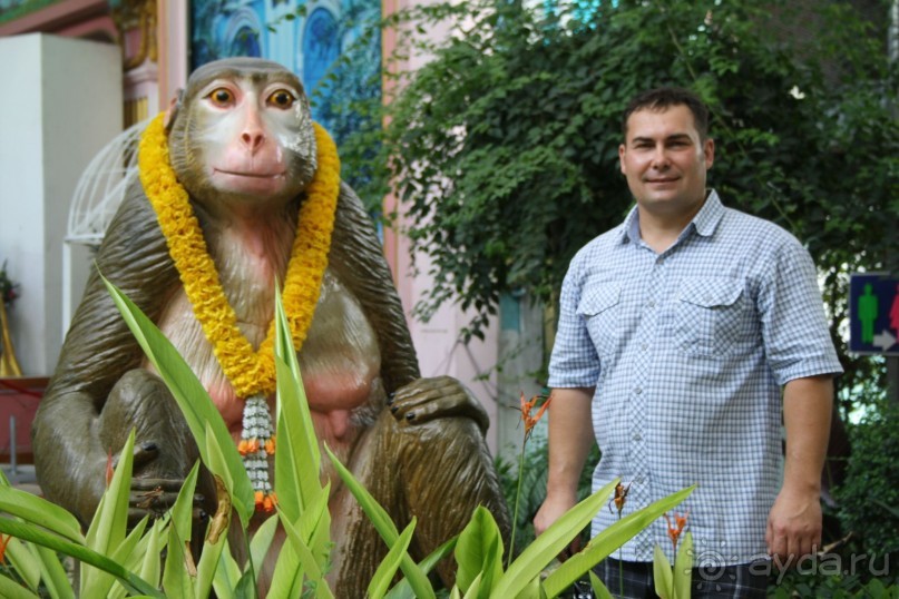 Из Сибири в "Вечное лето"