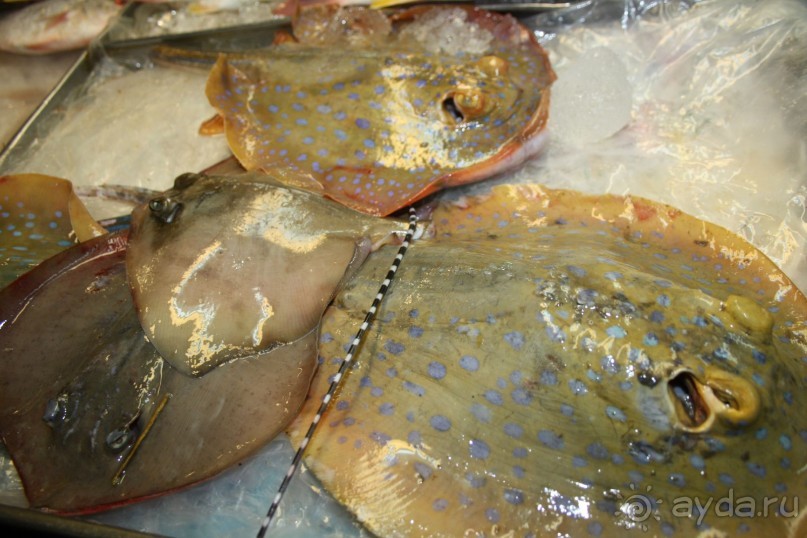 Из Сибири в "Вечное лето"