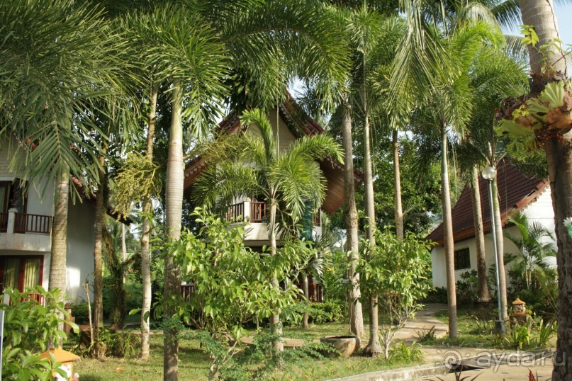 Из Сибири в "Вечное лето"