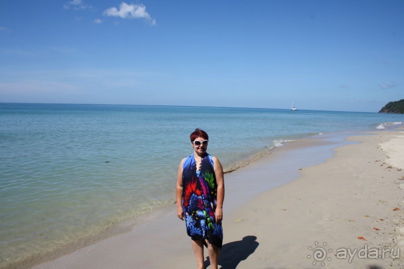 Из Сибири в "Вечное лето"