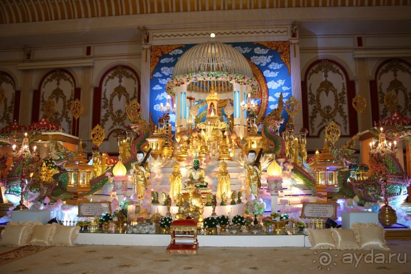 Из Сибири в "Вечное лето"