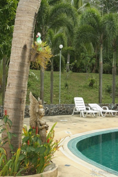 Из Сибири в "Вечное лето"