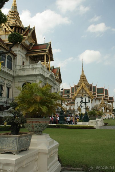 Из Сибири в "Вечное лето"