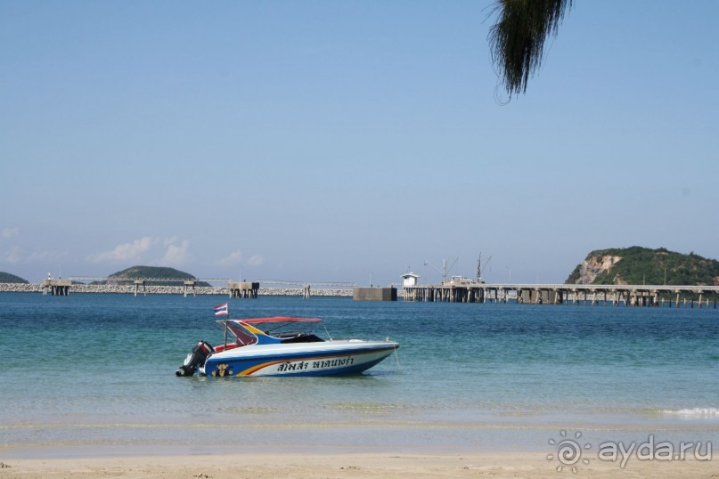 Из Сибири в "Вечное лето"