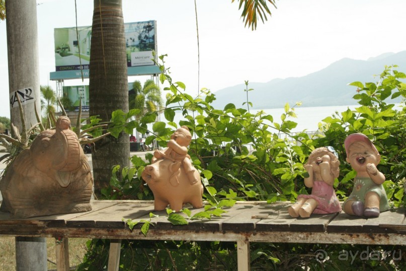 Из Сибири в "Вечное лето"