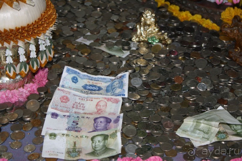 Из Сибири в "Вечное лето"