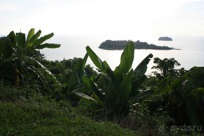 Из Сибири в "Вечное лето"