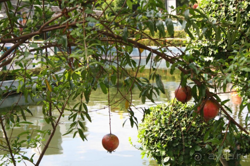 Из Сибири в "Вечное лето"