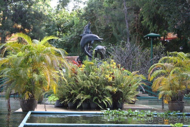 Из Сибири в "Вечное лето"