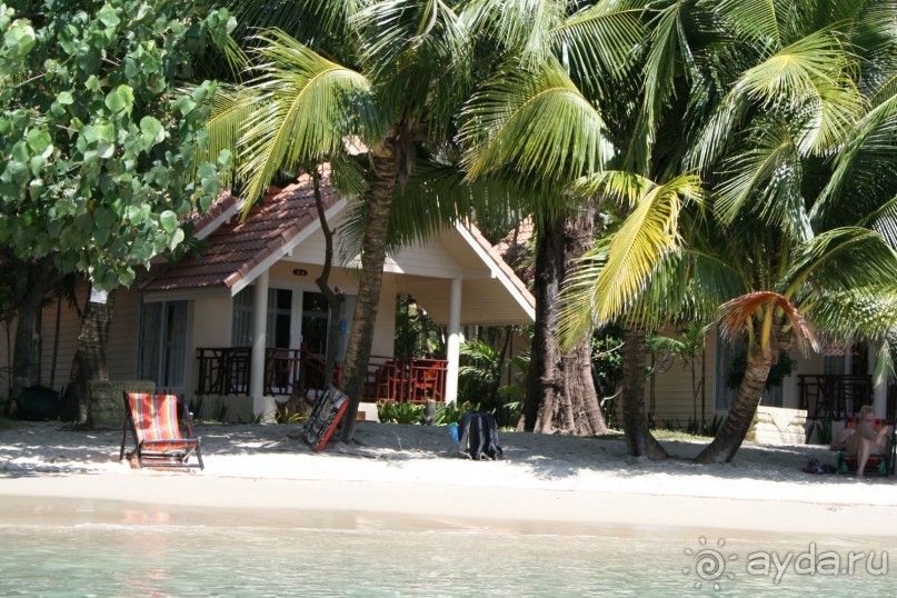 Из Сибири в "Вечное лето"