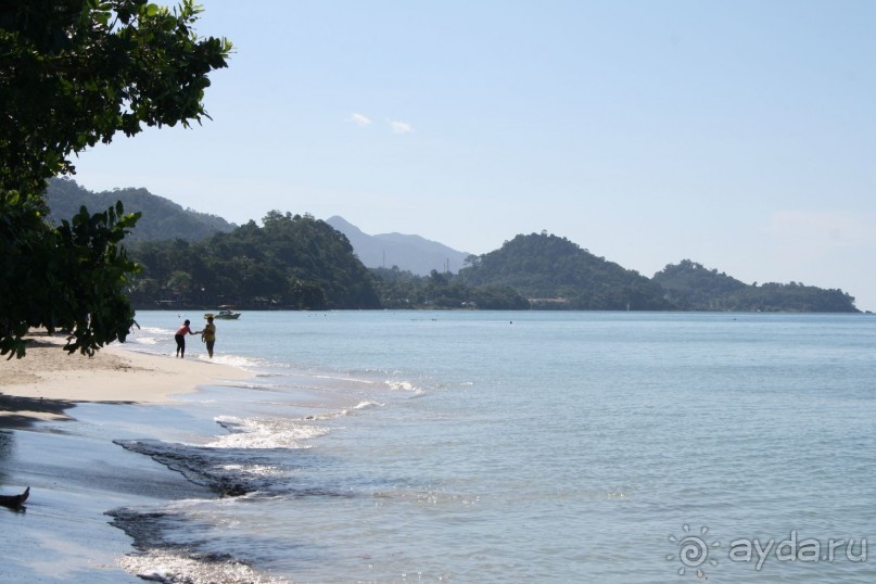 Из Сибири в "Вечное лето"