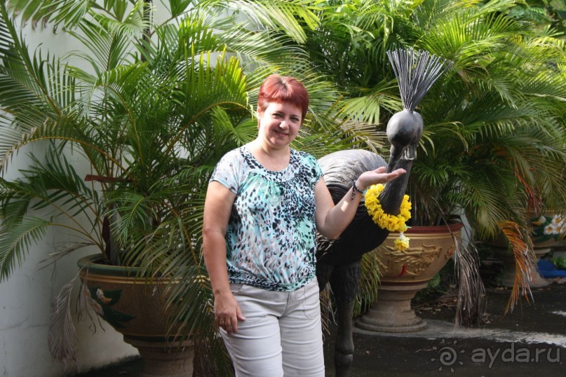 Из Сибири в "Вечное лето"